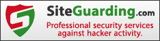 Website security, detecting malwares on the website and removal services, website backup services, daily website file scanning and file changes monitoring