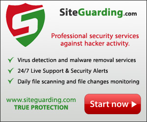 Website security, detecting malwares on the website and removal services, website backup services, daily website file scanning and file changes monitoring